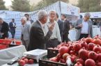شیرازی‌ها، میهمان سومین جشن انار و خرمالو در دل باغ‌های پاییزی شهر هزار راز